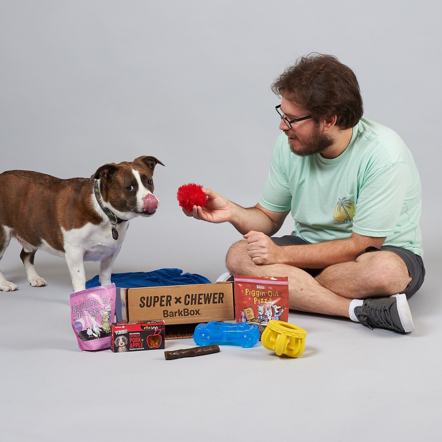 dog subscription box for chewers