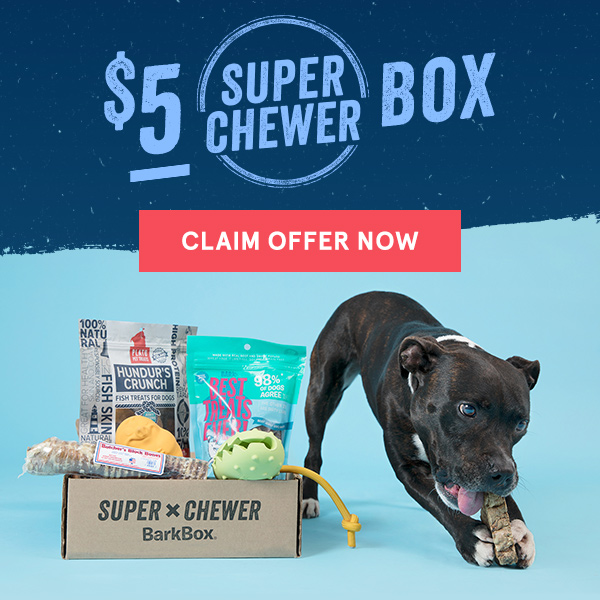 $5 super chewer barkbox