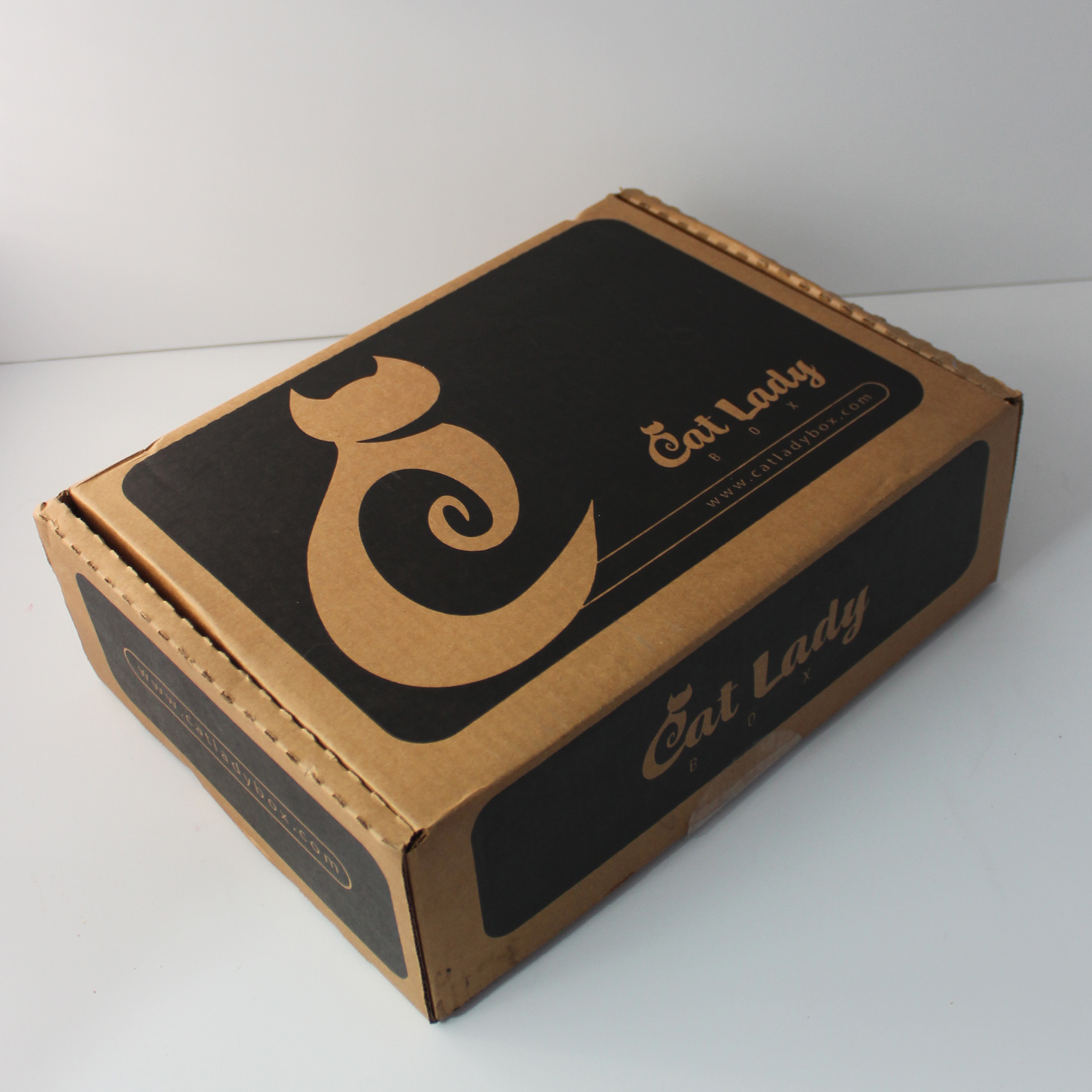 CatLadyBox Subscription Box Review – January 2021