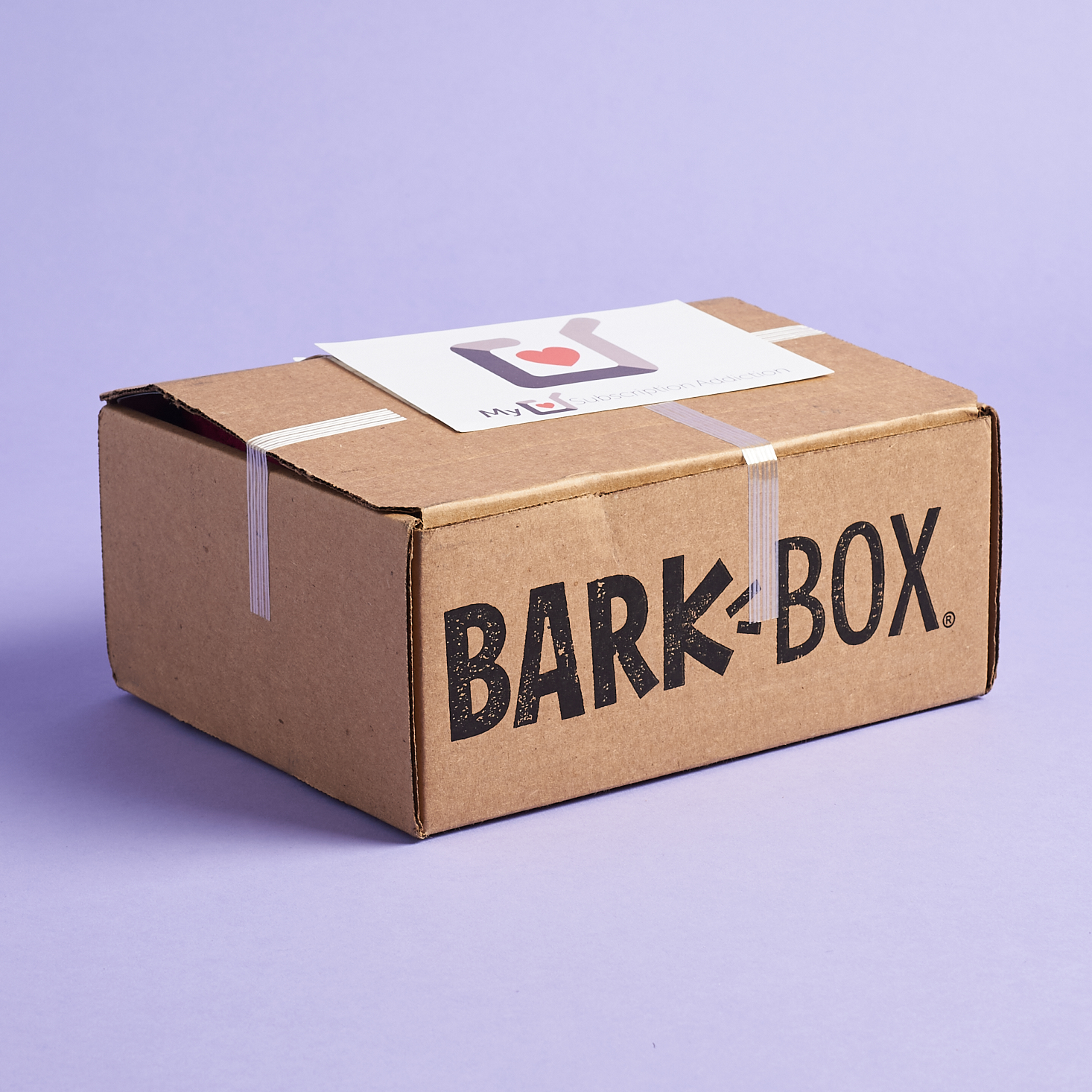 BarkBox Subscription Box Review + Coupon – January 2021
