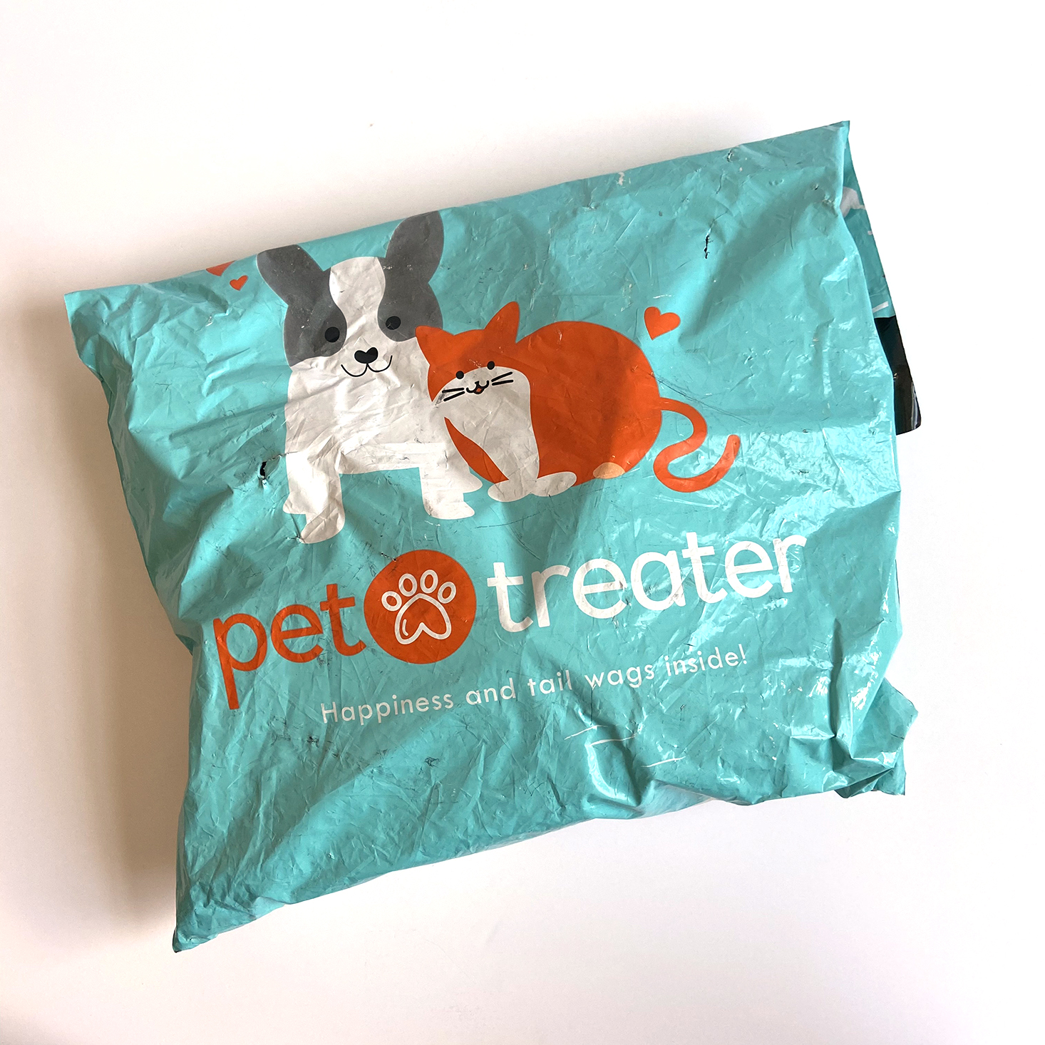 Pet Treater Dog Pack Subscription Review – January 2021