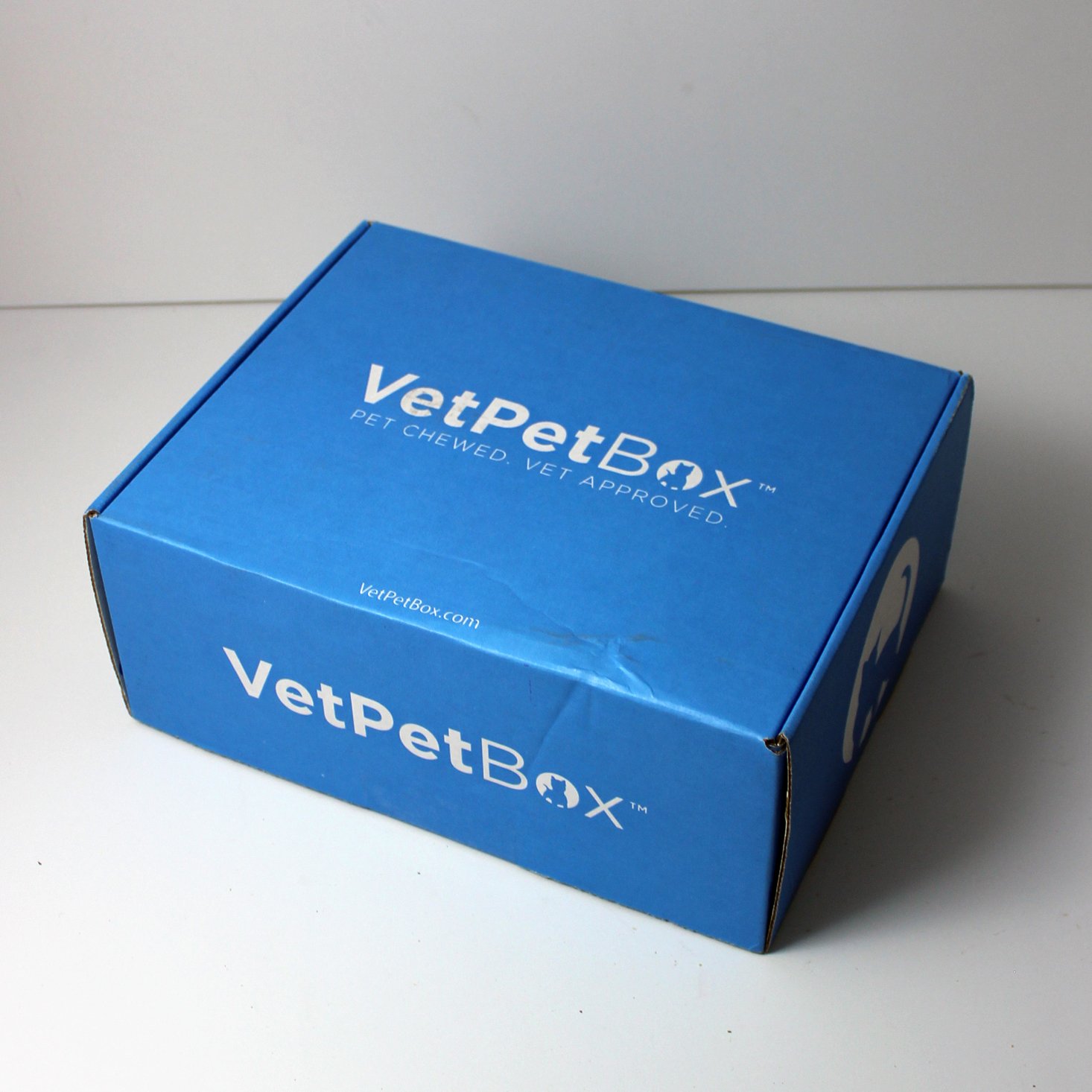 VetPet Box Cat Subscription Review + Coupon – February 2021