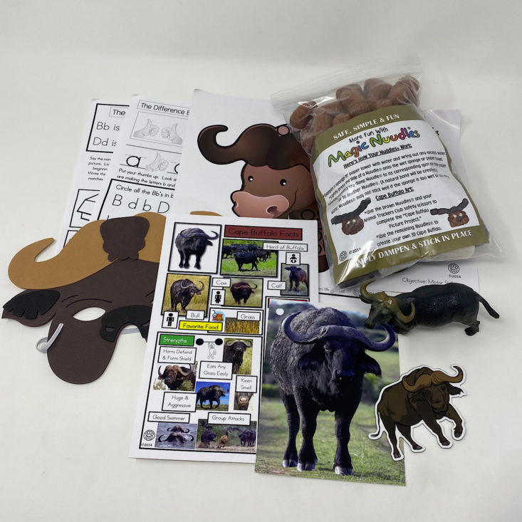 Animal Trackers Club Review - March 2021 | MSA