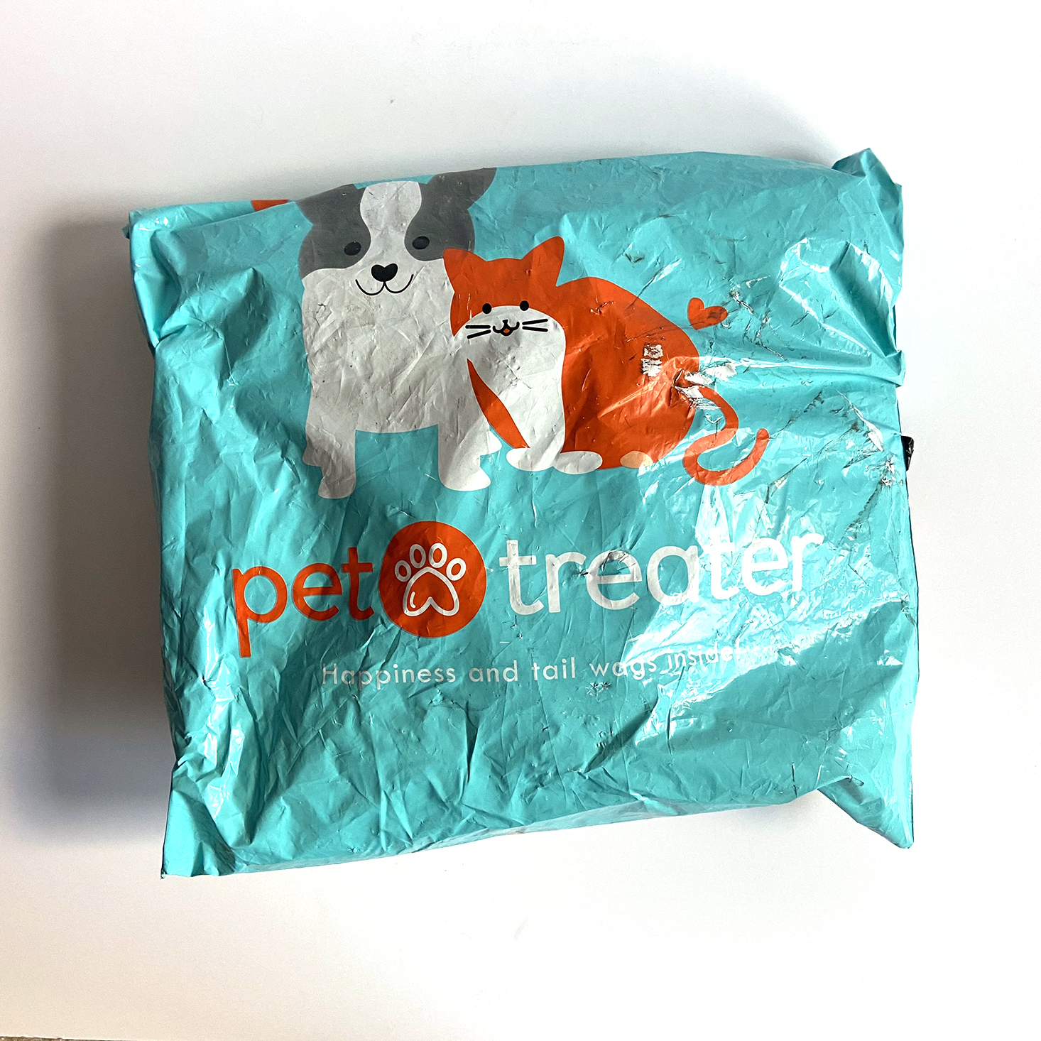 Pet Treater Dog Pack Subscription Review – February 2021