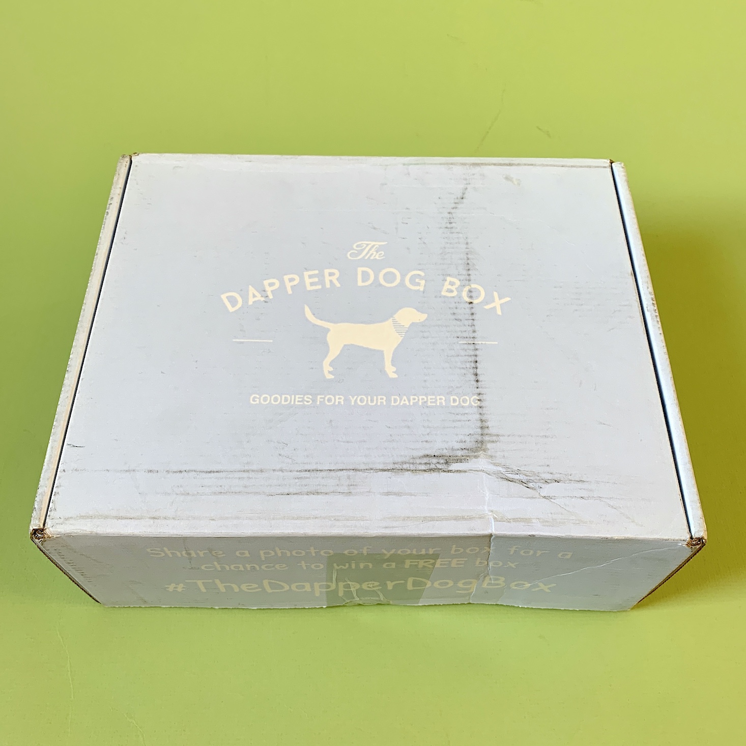 The Dapper Dog Box Review – April 2021
